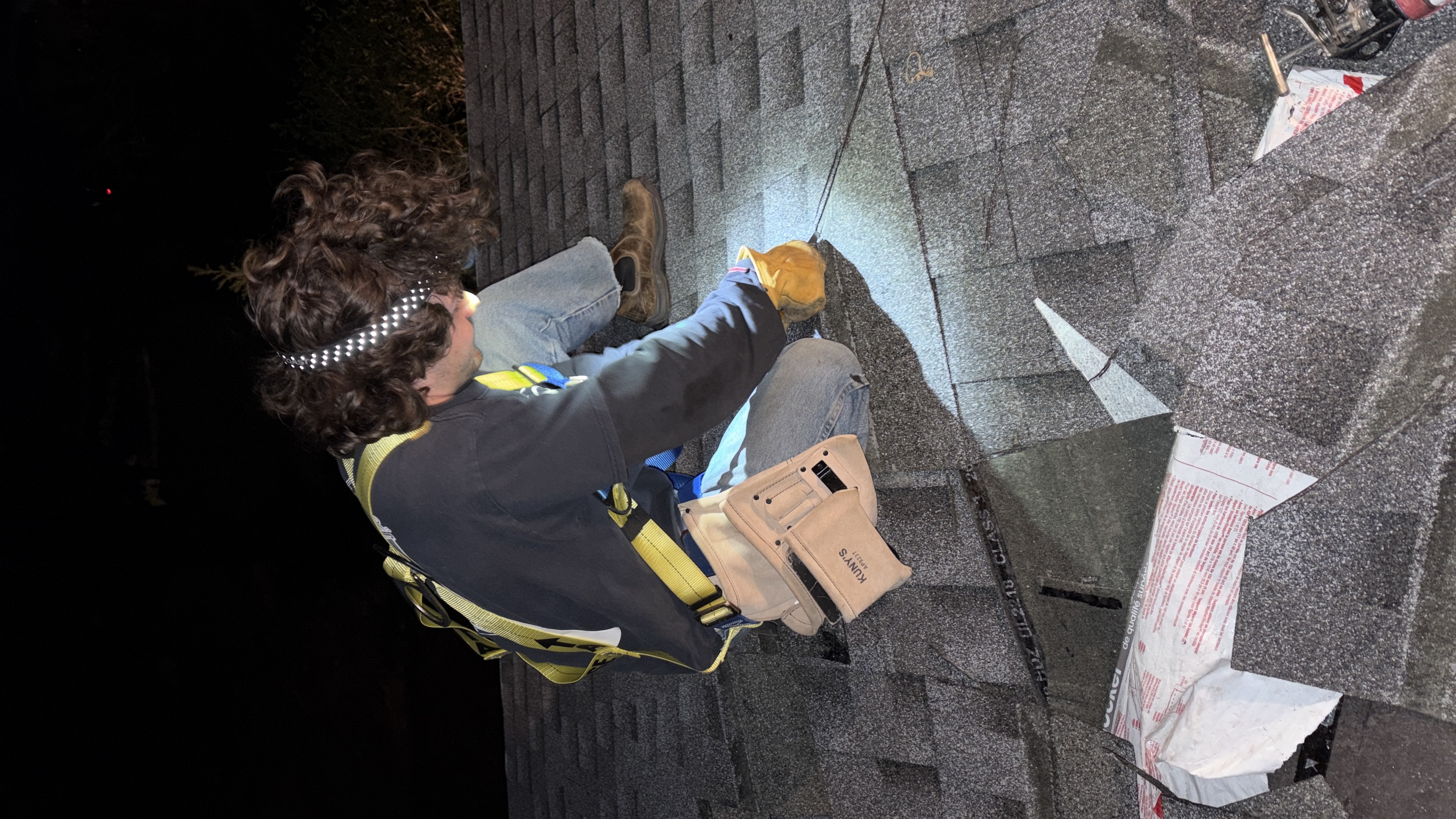 Roof project